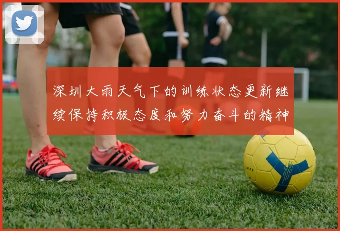 深圳大雨天气下的训练状态更新继续保持积极态度和努力奋斗的精神