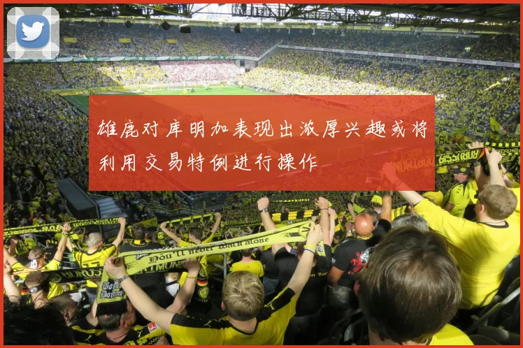 雄鹿对库明加表现出浓厚兴趣或将利用交易特例进行操作
